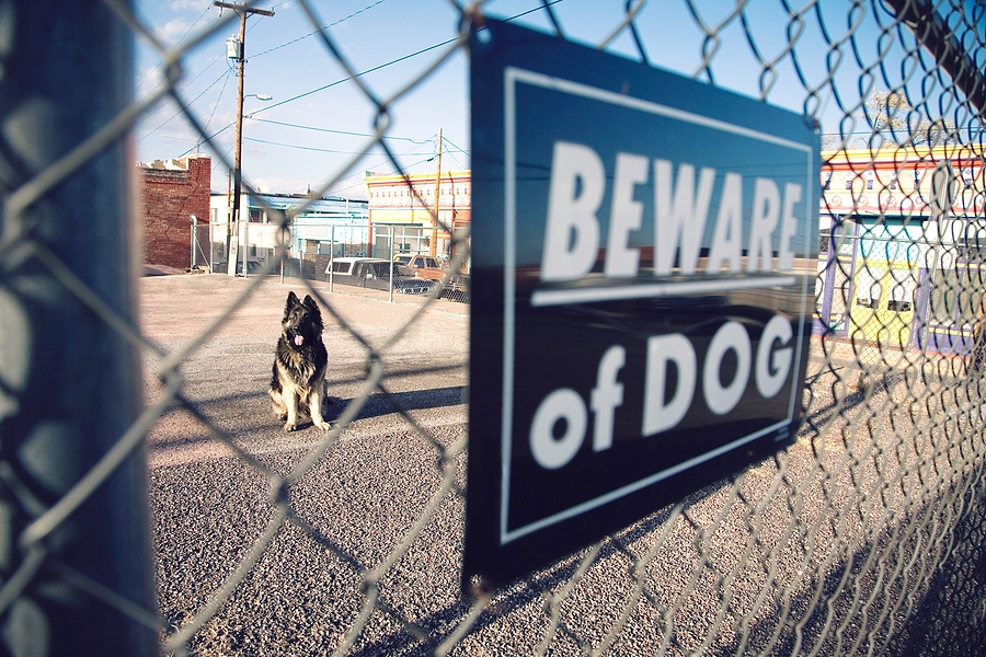 Guard dog behind 'Beware of dog' sign on fence